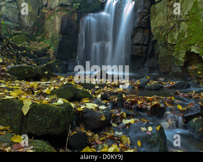 Foglie di autunno coprire il terreno alla base di una cascata Foto Stock