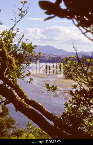 Whitianga viste,il capitano James Cook quando egli venne qui nel novembre 1769 per osservare il transito di mercurio,l'isola nord,Nuova Zelanda Foto Stock