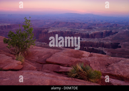 Canyonlands al tramonto visto dal Grand View Point si affacciano Foto Stock