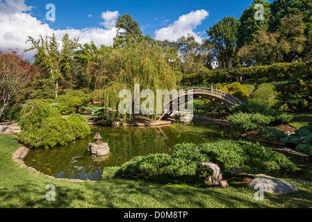 Il splendidamente rinnovato e giardini Giapponesi presso la Biblioteca di Huntington e Giardini Botanici. Foto Stock