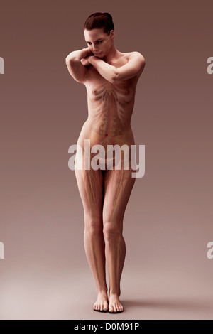In piedi poste femmina con le ossa dello scheletro, vasi sanguigni e nervi visibile. Foto Stock