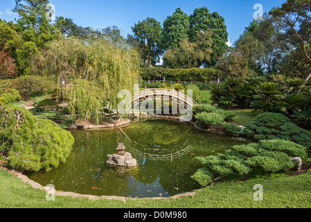 Il splendidamente rinnovato e giardini Giapponesi presso la Biblioteca di Huntington e Giardini Botanici. Foto Stock