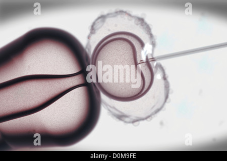 Visualizzazione stilizzata della fecondazione in vitro . Foto Stock