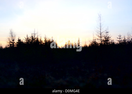 Autunno Sunrise in Dalby Forest, North Yorkshire Foto Stock