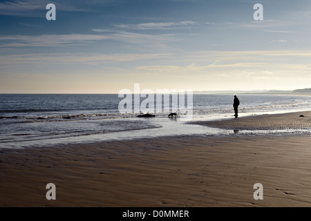 Passeggiate con il cane sulla spiaggia al di sotto del castello di Bamborough. Northumberland Foto Stock