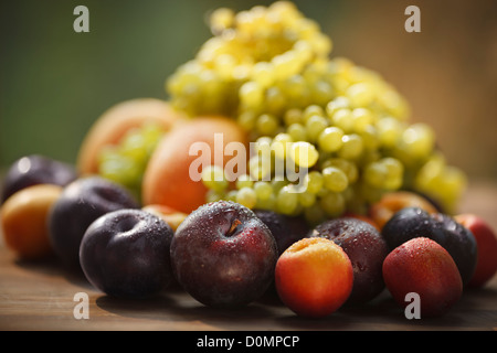 Ancora vita con fresco e umido dei frutti, il fuoco selettivo sulla approssimazione di prugna Foto Stock