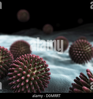 Cluster di virus H1N1 particelle. Foto Stock