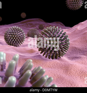 Cluster di virus H1N1 particelle. Foto Stock