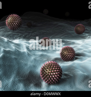 Cluster di virus H1N1 particelle. Foto Stock