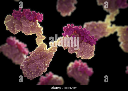 Un gruppo di anticorpi umani a forma di Y utilizzate proteine sistema immunitario difendersi da oggetti estranei come batteri virus. Foto Stock