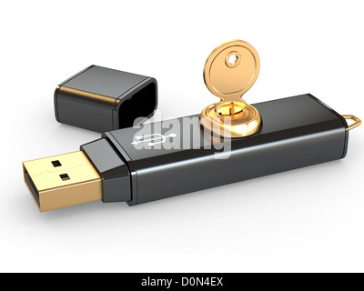 La sicurezza dei dati. Protezione delle informazioni. Memoria flash USB Chiave di e. 3d Foto Stock