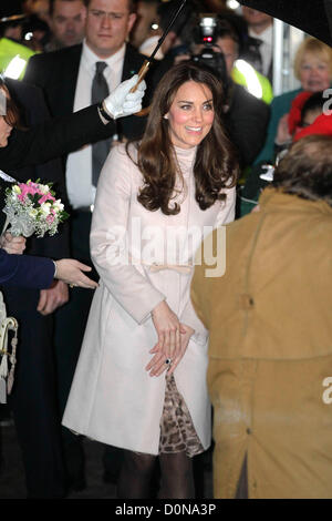 Peterborough,Cambridgeshire 28 novembre 2012 il Duca e la Duchessa di Cambridge visita ospedale della città, Peterborough,Cambridgsehire. Credito: Tim Scrivener / Alamy Live News Foto Stock