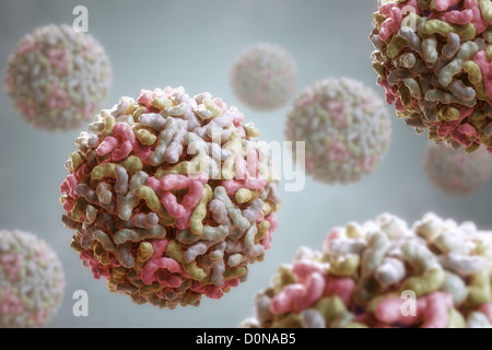 Struttura virus Sindbis (PDB 1LD4). SINV è membro della famiglia Togaviridae nella sottofamiglia alfavirus. Negli esseri umani virus è trasmesso Foto Stock