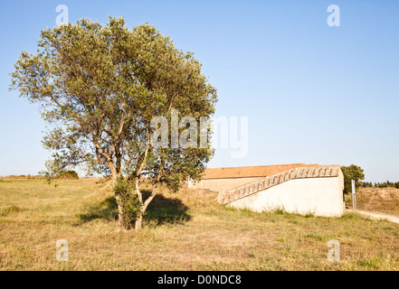 Esterno della tomba etrusca Foto Stock