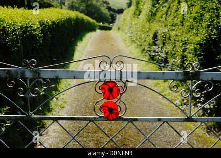 Red giorno del ricordo papaveri fissata ad una porta che conduce ad un cimitero, Llanrhystud, Galles. Foto Stock