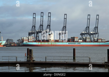 Un contenitore nave attende il caricamento nel porto di Felixstowe, Suffolk, Regno Unito il più grande porto di contenitore Foto Stock