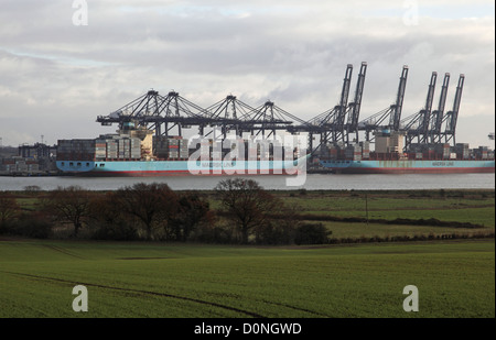 Visualizzare attraverso i campi verso il contenitore di carico delle navi nel porto di Felixstowe, Suffolk, Regno Unito il più grande porto di contenitore Foto Stock