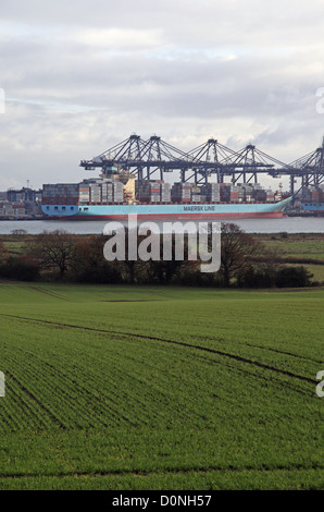 Visualizzare attraverso i campi verso il contenitore di carico delle navi nel porto di Felixstowe, Suffolk, Regno Unito il più grande porto di contenitore Foto Stock