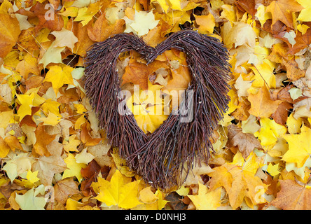 Forma di cuore fatta da ramoscelli su foglie di autunno Foto Stock