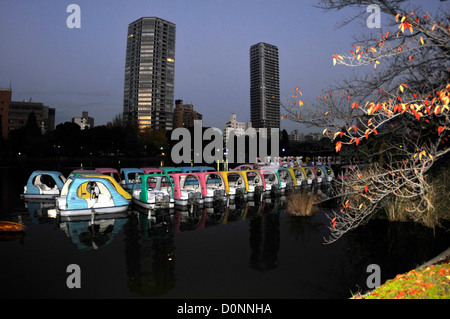 Barche a pedali all'alba, Shinobazu pond, il parco Ueno, Tokyo, Giappone Foto Stock