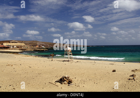 Di nidificazione della tartaruga beach a Pedra de Lume - Isola di Sal, Capo Verde Foto Stock