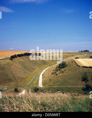 Asciugare gesso Valley vicino a Thixendale Yorkshire Wolds East Yorkshire Inghilterra Foto Stock