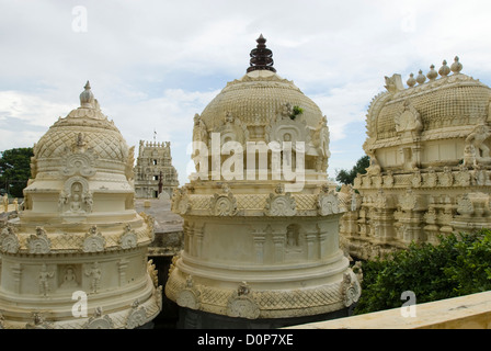 Trailokyanathat Jeenaswami Tempio (tempio Jain) in Tiruparuthiku,Kanchipuram,Tamil Nadu, India Foto Stock