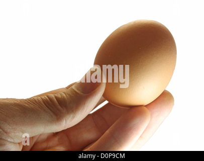 Adulto mano che tiene una mano un uovo di gallina Foto Stock