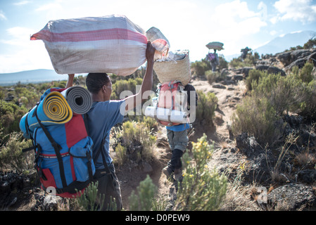 MONTE KILIMANJARO, Tanzania - Porters sul sentiero nella zona delle brughiere tra il campo Shira 1 e il campo di rifugio Moir sul percorso Lemosho del monte Kilimanjaro. Foto Stock