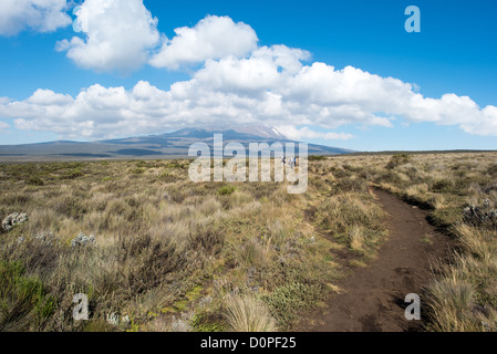 MONTE KILIMANJARO, Tanzania - Un piccolo gruppo di escursionisti sul sentiero per Shira 1 Camp sul Monte Kilimanjaro, con il picco lontano in lontananza. Foto Stock