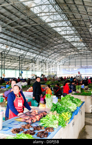 SAM NEUA, Laos - all'interno del mercato mattutino edificio in Sam Neua (anche ortografato Samneua, Xamneua e Xam Neua) nel nord-est del Laos. Una vasta scelta di frutta fresca, verdura, carne, pesce e prodotti cotti sono disponibili sul mercato. Foto Stock