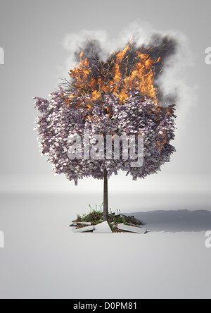 Money Tree, fuoco, fiamme, fumo, avidità, affari, studio shot, rifiuti, Foto Stock