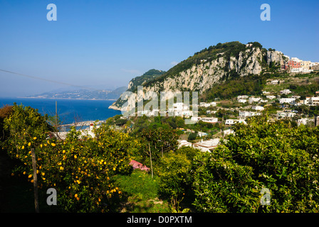 Isola di Capri, Capri, provincia di Napoli, Campania, Italia, Europa Foto Stock