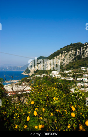 Isola di Capri, Capri, provincia di Napoli, Campania, Italia, Europa Foto Stock