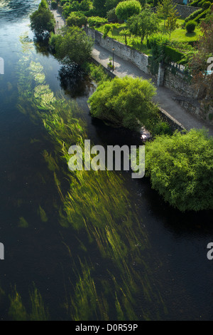 Le erbacce nel fiume Dordogne, Argentat, Corrèze, Limousin, Francia Foto Stock