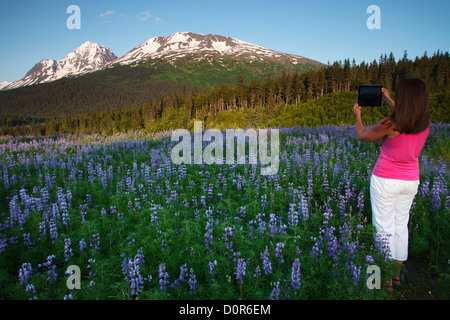 Visitatore di scattare una foto con un ipad, Chugach National Forest, Alaska. (Modello rilasciato) Foto Stock