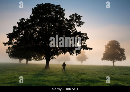 Un fotografo in un campo in una nebbiosa mattina vicino a Milborne Port, Somerset, Inghilterra, Regno Unito Foto Stock