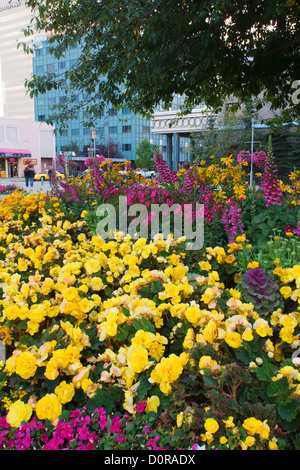 Town Square Park, il centro cittadino di Anchorage in Alaska,. Foto Stock