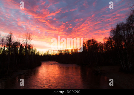 Inverno tramonto su ovini Creek, lungo l'autostrada parchi, Alaska. Foto Stock