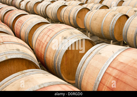 Barilotti di vino Foto Stock