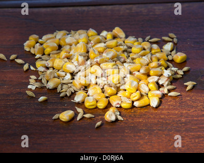 Il mais e altri semi sul tavolo di legno Foto Stock