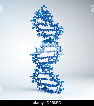 Il filamento di DNA modello Foto Stock