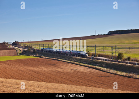 Un TGV velocità attraverso la campagna di Borgogna sulla linea tra Parigi e il sud-est della Francia. Foto Stock