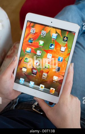 Donna che mantiene l'iPad mini computer tablet e guardando le app sulla schermata home Foto Stock
