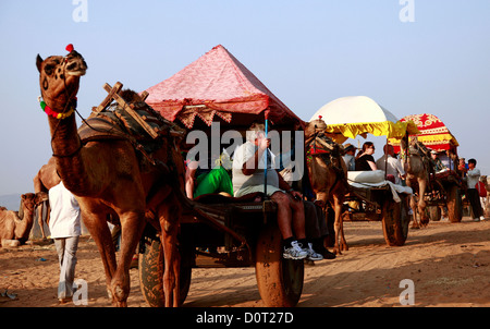 Camel carrello,Pushkar fiera,etnia indiana,deserto di Thar,Camel fiera,modalità di trasporto,Camel safari,Fiera,animale domestico,l'India Foto Stock