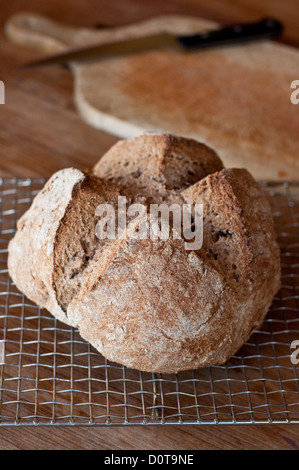 Soda irlandese il pane su una griglia di raffreddamento con un tagliere e coltello per pane. Foto Stock