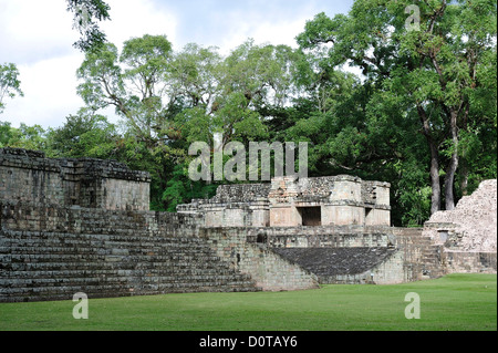 UNESCO World Heritage, sito, Museo, Parque Archeologico Copan, Copan, ruderi, America Centrale, Honduras, Maya, piramidi Foto Stock