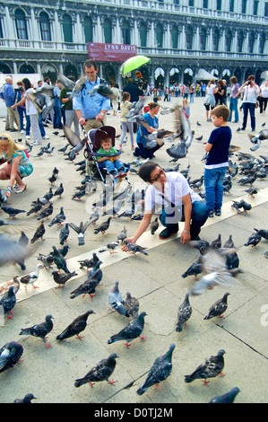 Piccioni in Piazza San Marco Plaza a Venezia, Italia Foto Stock