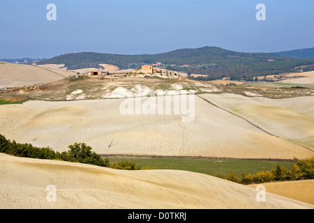 L'Europa, Italia, Toscana, Val d' Orcia, pamoramic vista nella zona di Pienza Foto Stock