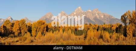 Montagne Rocciose Tetons caduta di picco di fogliame di autunno panorama deserto orizzontale gamma Teton Grand Teton National Park Foto Stock